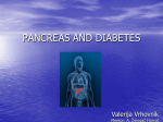 pancreas and diabetes