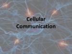 Cellular Communication