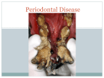 Applied Dentistry for the Veterinary Technician