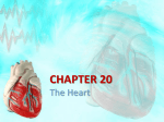 20-1: The Heart - Jordan High School