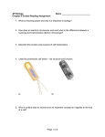 AP Biology