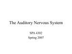 The Auditory Nervous System