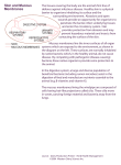 Skin and Mucous Membranes