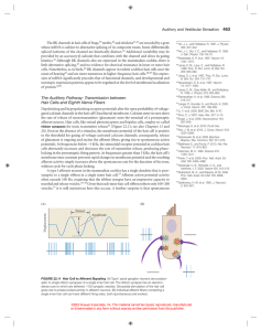 The Auditory Pathway: Transmission between Hair Cells and Eighth