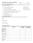 introduction to energy* worksheet