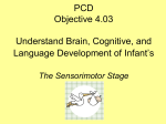 The Sensorimotor Stage