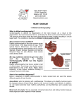 Heart: Dilated Cardiomyopathy