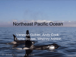 Northeast Pacific Ocean