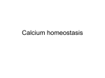 Calcium homeostasis