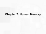 Chapter 7: Human Memory