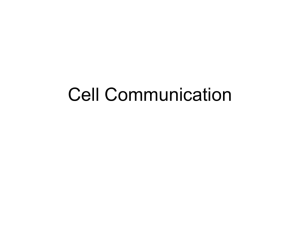 Cell Communication