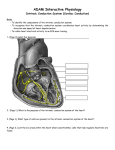 ADAM Interactive Physiology