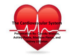 The Cardiovascular System