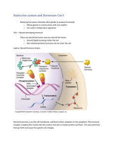 Endocrine system and Hormones Con`t Releasing hormones