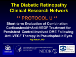 The Diabetic Retinopathy Clinical Research Network