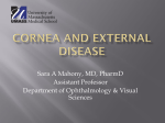 Cornea and External Disease