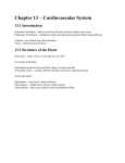 Cardiovascular notes on Heart File