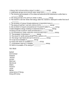 Energy Worksheet