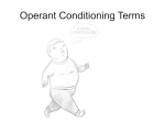 Operant Conditioning Powerpoint