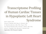 Transcriptome Profiling in Human Congenital Heart Disease