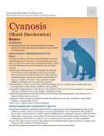 Cyanosis