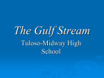 The Gulf Stream - Tuloso