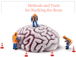 Unit 2- Methods of Studying The Brain #3