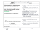 Human Systems Table Top