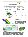 Notes Photosynthesis Light energy The two main colors that plants