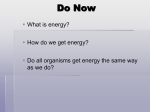 Energy! - Montville.net