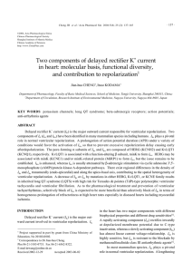 Two components of delayed rectifier K+ current in heart: molecular