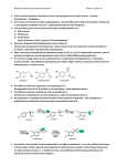 Norepinephrine