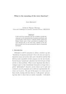 What is the meaning of the wave function?