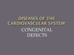 diseases of the cardiovascular system