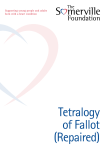 Tetralogy of Fallot (Repaired)