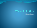 Water Pollution