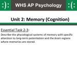 Physiology of Memory PowerPoint