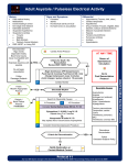 Adult Asystole / Pulseless Electrical Activity