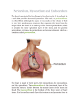 Pericardium, Myocardium and Endocardium