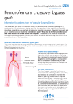 Femorofemoral crossover bypass graft