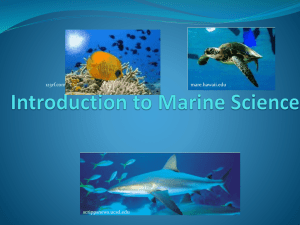 Marine Unit 1 PPT