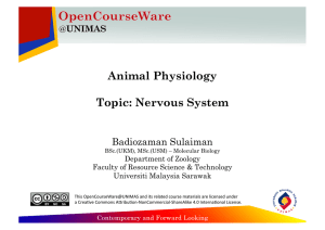 Nervous System - ocw@unimas - Universiti Malaysia Sarawak