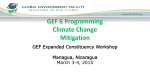 GEF 6 Programming Climate Change Mitigation