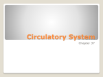 Circulatory System