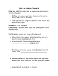 Cleft Lip and Palate Lecture 1