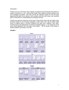 Introduction: Proteins are one of the three major classes of biological