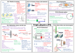 P3 mindmap