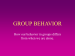 GROUP BEHAVIOR