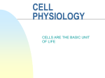 cell physiology - people.vcu.edu