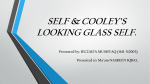 cooley`s looking glass self